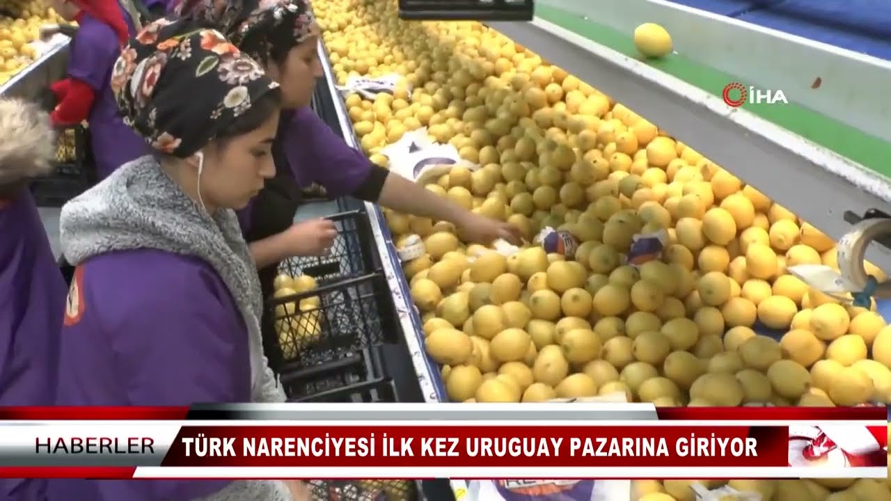 Bulduk Gida TURKIYEDE Ilk Kez TURK Narenciyesini URUGUAYA Gonderen Firma Oldu